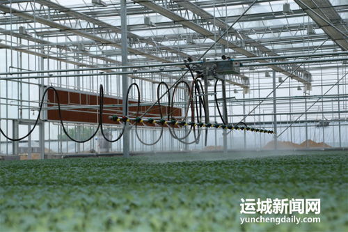 夏縣積極籌備第七屆中國山西特色農(nóng)產(chǎn)品交易博覽會，夯實初級農(nóng)產(chǎn)品營銷基礎(chǔ)