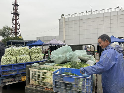 北京新發(fā)地市場 助推商戶打造農產品品牌，提升初級農產品價值
