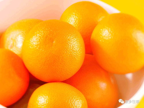 故鄉(xiāng)的滋味 贛南臍橙11月12日正式開摘